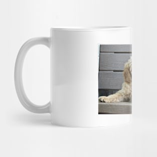 Baby poodle Mug